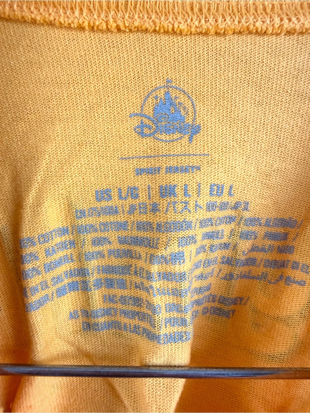 Orange Bird Spirit Jersey 🍊 - Picture 13 of 14